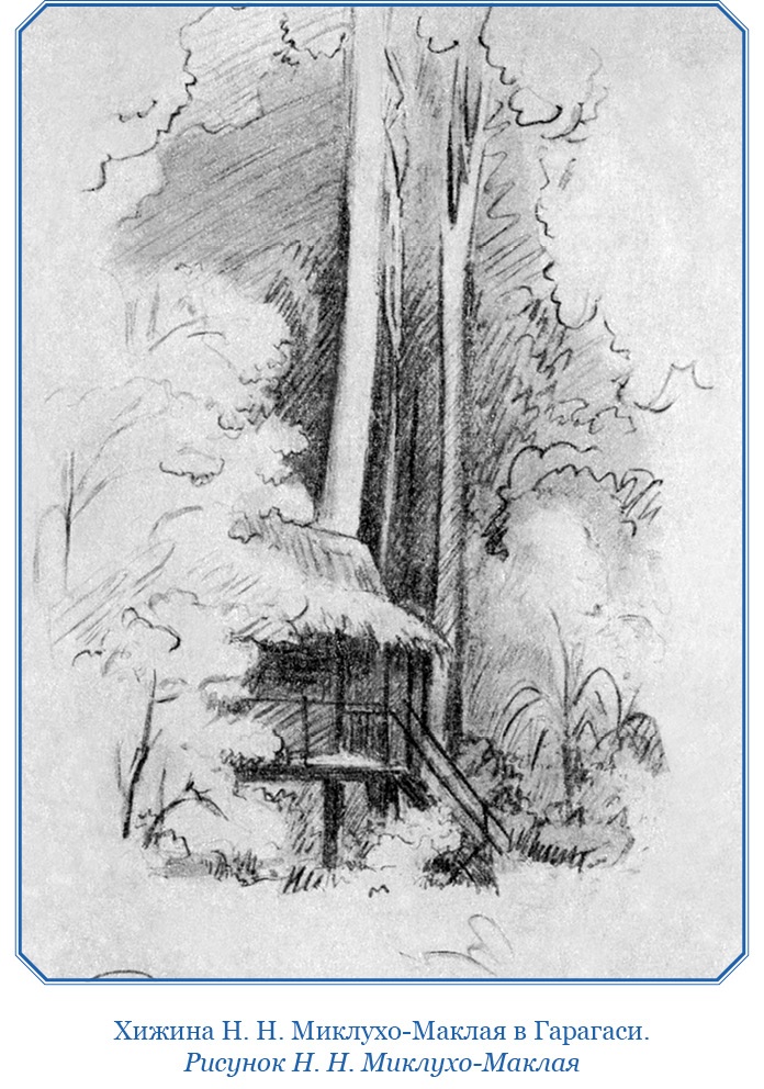 Иллюстрация к книге — Путешествие на берег Маклая [i_020.jpg]