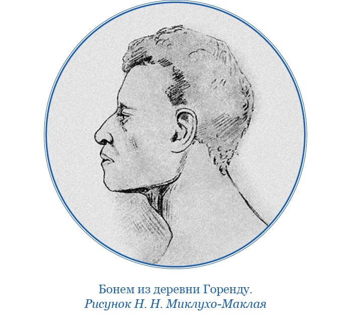 Иллюстрация к книге — Путешествие на берег Маклая [i_027.jpg]