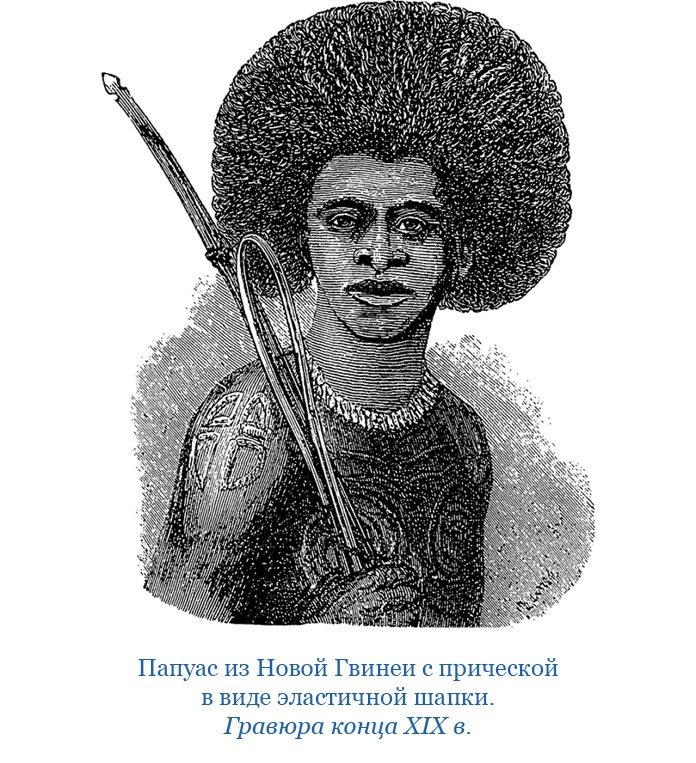 Иллюстрация к книге — Путешествие на берег Маклая [i_028.jpg]