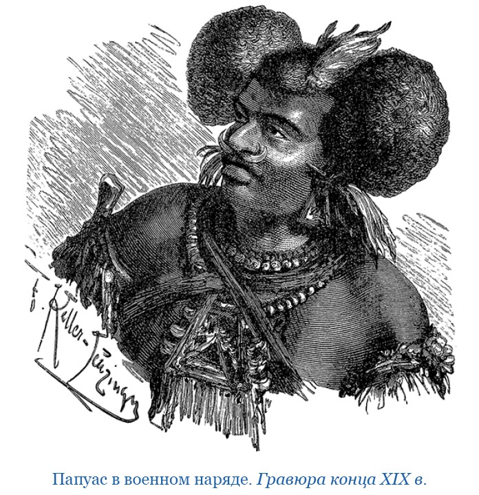 Иллюстрация к книге — Путешествие на берег Маклая [i_035.jpg]