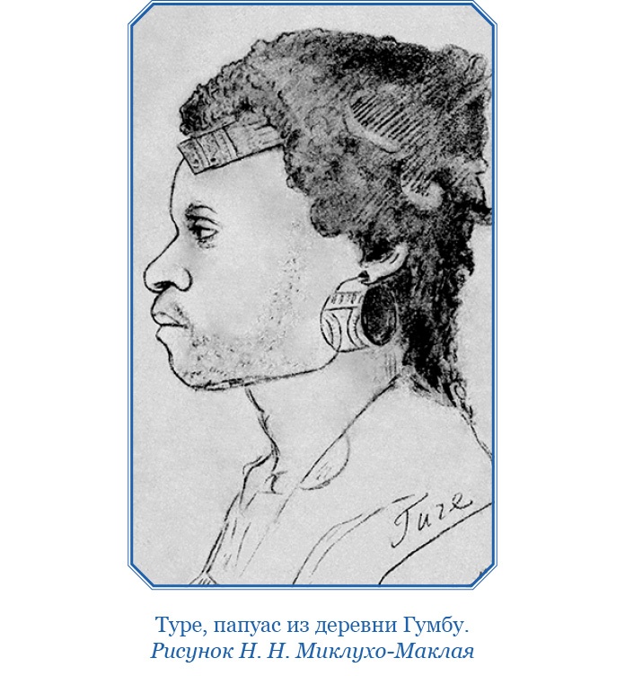 Иллюстрация к книге — Путешествие на берег Маклая [i_046.jpg]