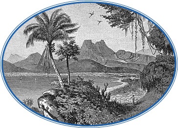 Иллюстрация к книге — Путешествие на берег Маклая [i_058.jpg]