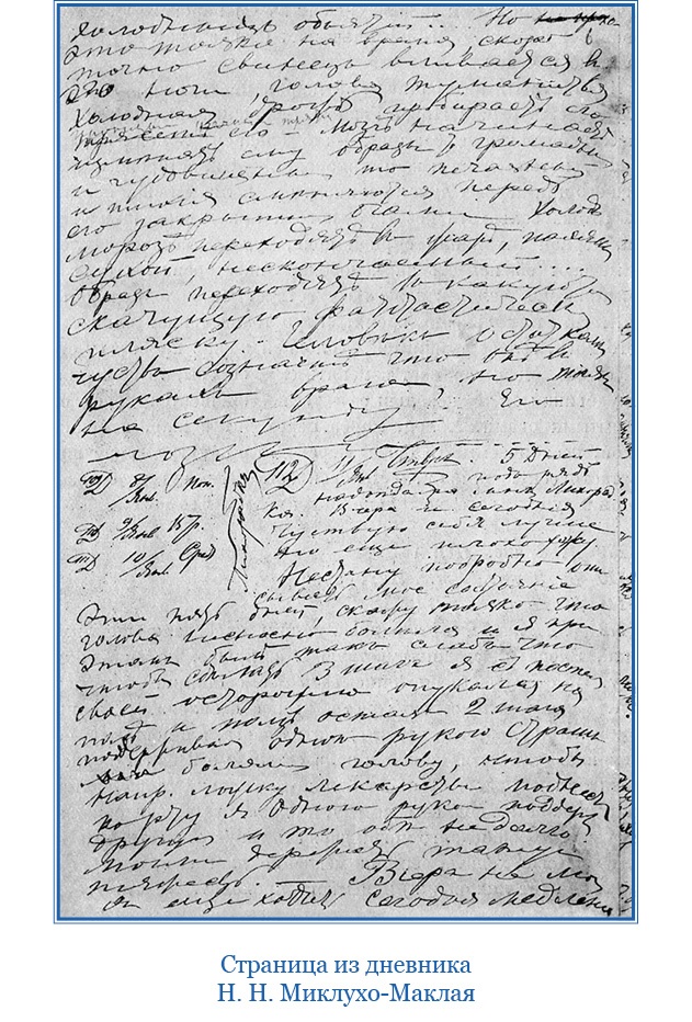 Иллюстрация к книге — Путешествие на берег Маклая [i_062.jpg]