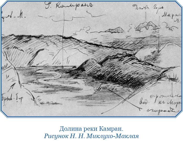 Иллюстрация к книге — Путешествие на берег Маклая [i_086.jpg]