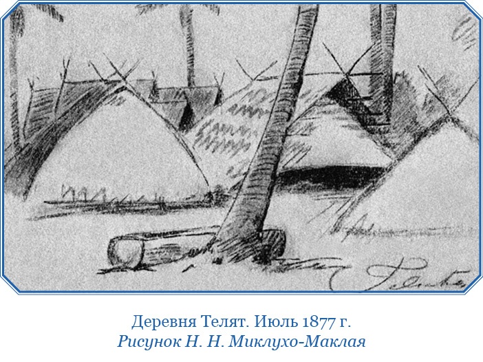 Иллюстрация к книге — Путешествие на берег Маклая [i_089.jpg]