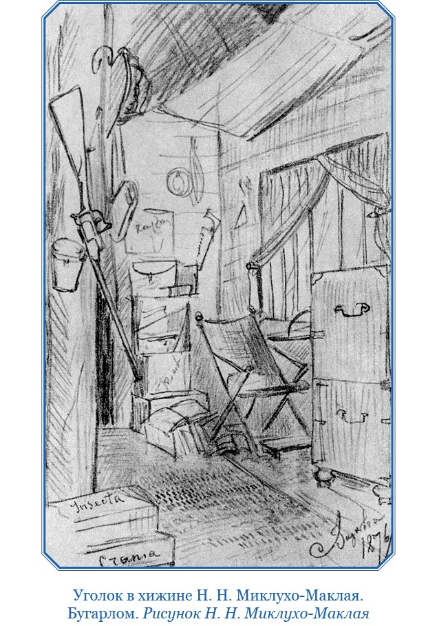 Иллюстрация к книге — Путешествие на берег Маклая [i_093.jpg]