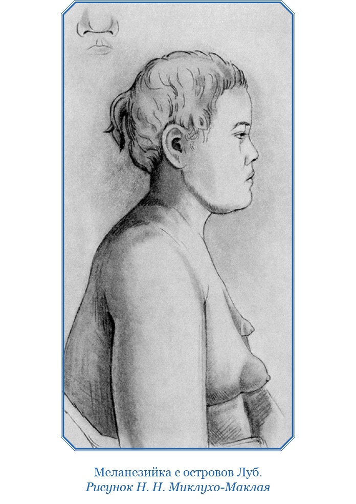 Иллюстрация к книге — Путешествие на берег Маклая [i_103.jpg]