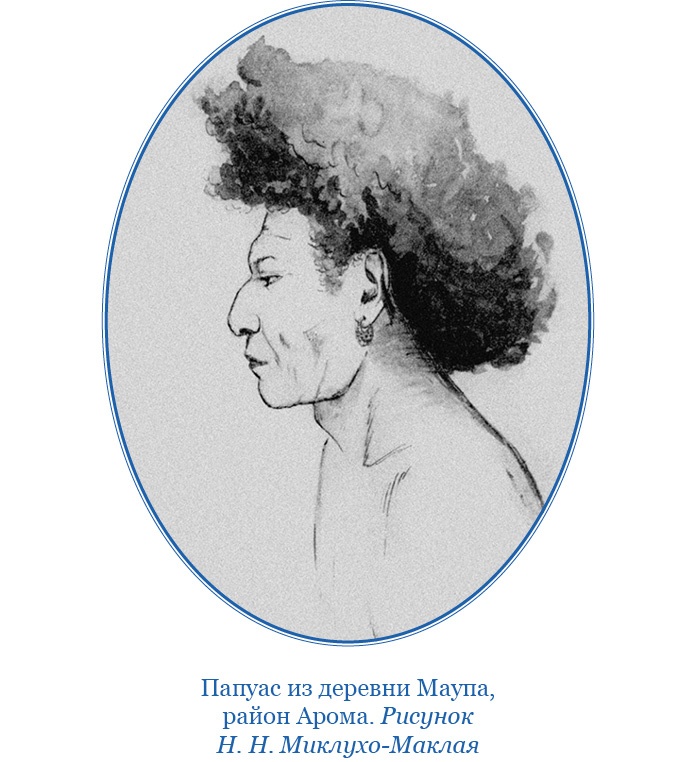 Иллюстрация к книге — Путешествие на берег Маклая [i_118.jpg]