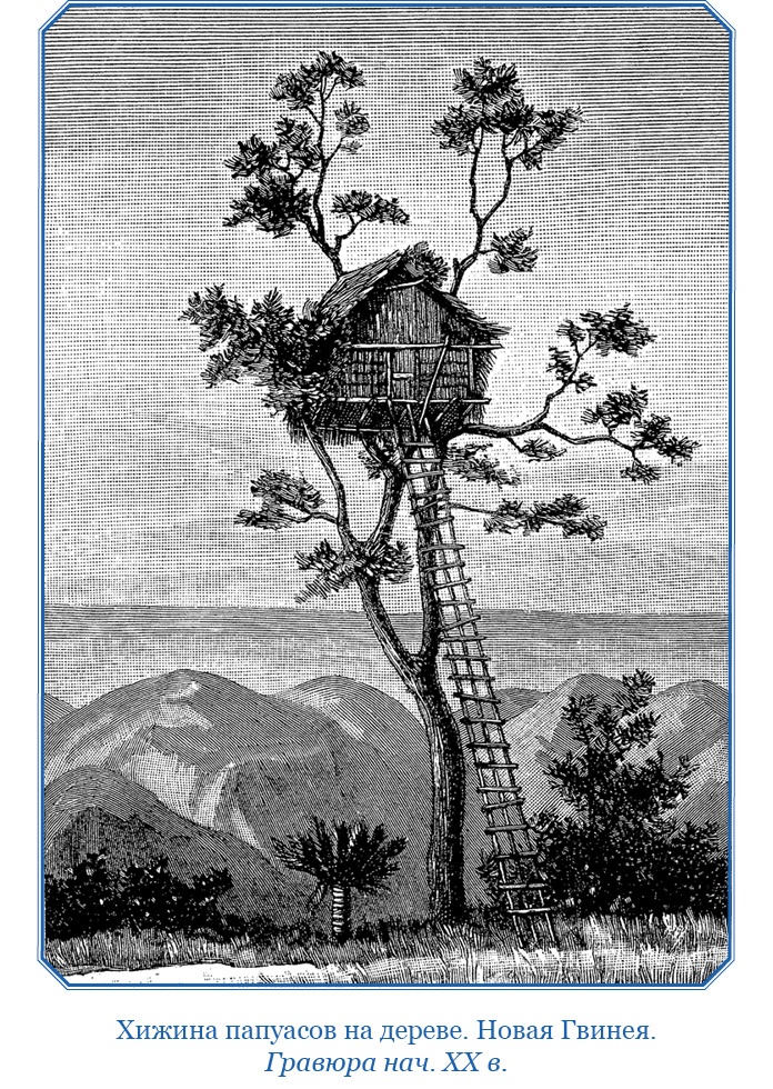 Иллюстрация к книге — Путешествие на берег Маклая [i_120.jpg]