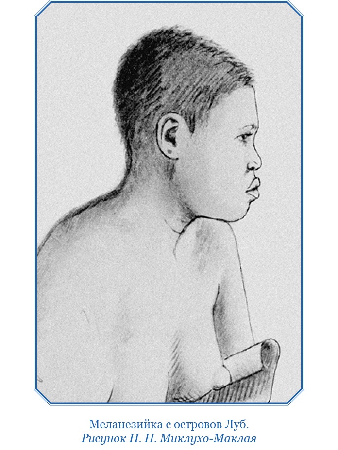 Иллюстрация к книге — Путешествие на берег Маклая [i_124.jpg]