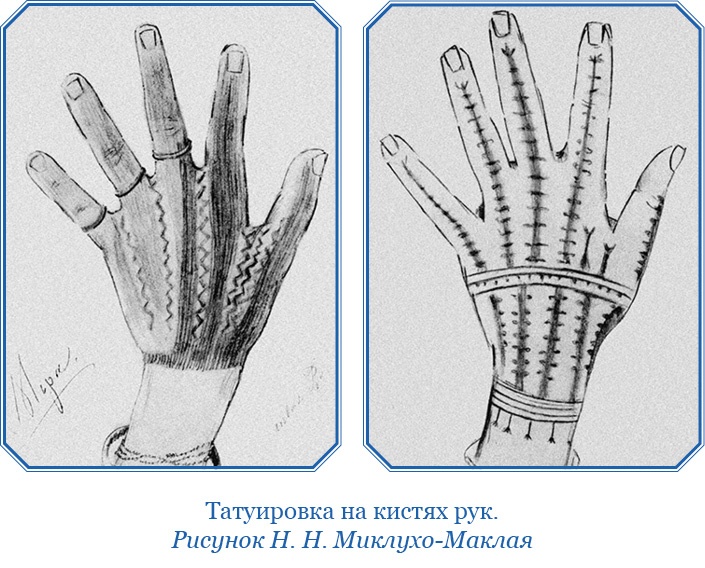 Иллюстрация к книге — Путешествие на берег Маклая [i_155.jpg]
