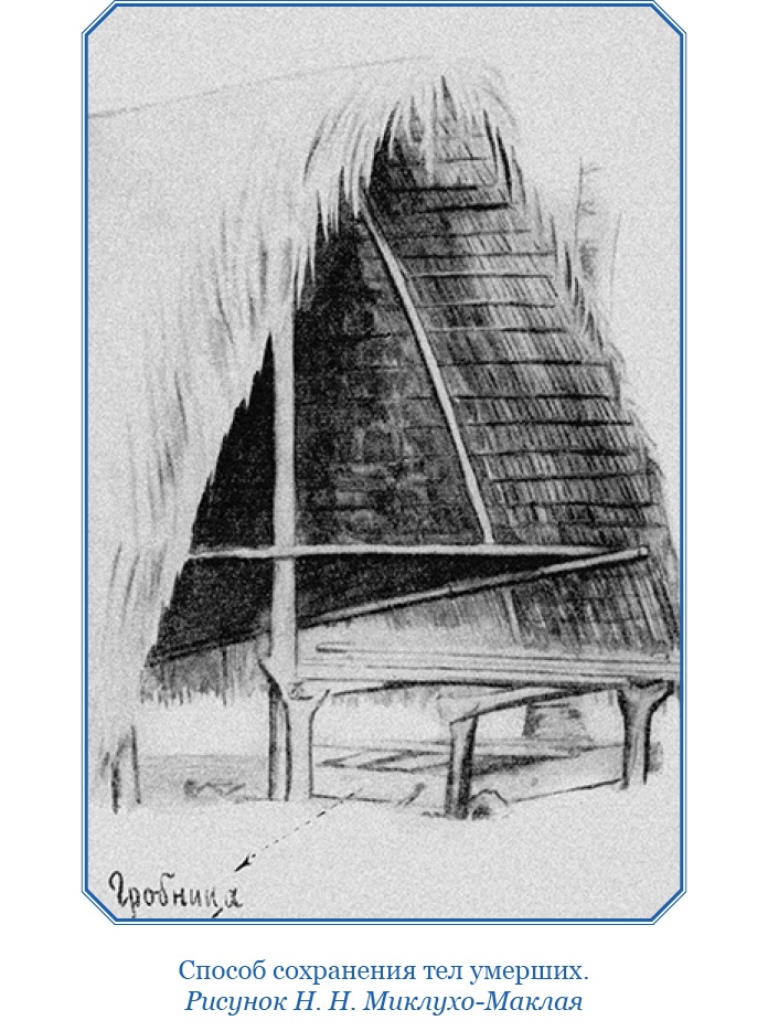 Иллюстрация к книге — Путешествие на берег Маклая [i_157.jpg]