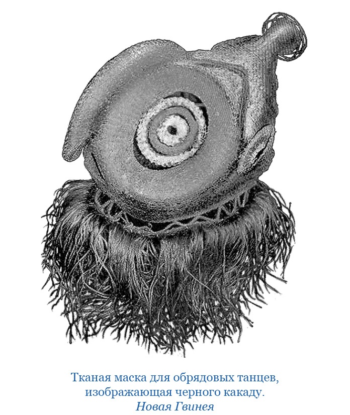 Иллюстрация к книге — Путешествие на берег Маклая [i_160.jpg]