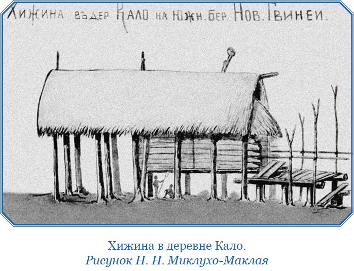 Иллюстрация к книге — Путешествие на берег Маклая [i_179.jpg]