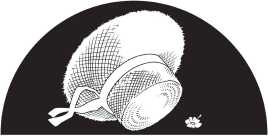 Иллюстрация к книге — Трудно быть другом [i_028.jpg]