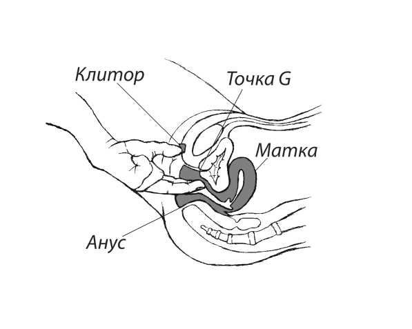 Иллюстрация к книге — 7 минут до оргазма. Книга-тренинг [image15.jpg]