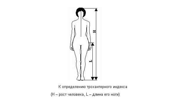 Иллюстрация к книге — 7 минут до оргазма. Книга-тренинг [image8.jpg]