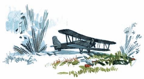 Иллюстрация к книге — Оборона Севастополя. 1941-1943. Сражение за Кавказ. 1942-1944 [i_113.jpg]