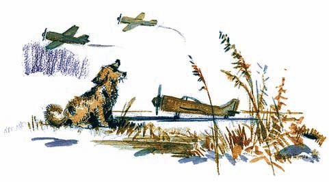 Иллюстрация к книге — Оборона Севастополя. 1941-1943. Сражение за Кавказ. 1942-1944 [i_121.jpg]