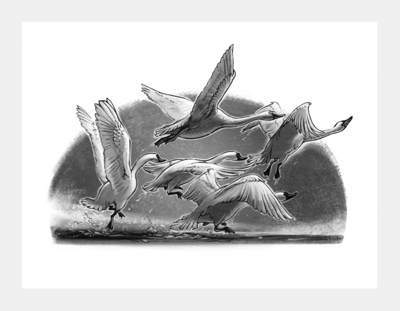 Иллюстрация к книге — Страна Сказок. Предостережение братьев Гримм [i_019.jpg]