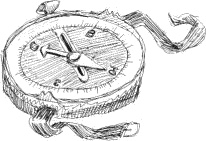 Иллюстрация к книге — Гуд бай, Арктика!.. [i_002.jpg]