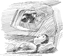 Иллюстрация к книге — Гуд бай, Арктика!.. [i_019.jpg]