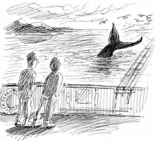 Иллюстрация к книге — Гуд бай, Арктика!.. [i_034.jpg]