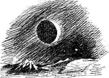 Иллюстрация к книге — Гуд бай, Арктика!.. [i_041.jpg]