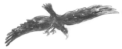 Иллюстрация к книге — Дорога на Аннапурну [i_005.jpg]