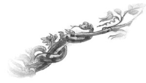 Иллюстрация к книге — Дорога на Аннапурну [i_029.jpg]