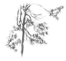 Иллюстрация к книге — Дорога на Аннапурну [i_039.jpg]