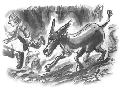 Иллюстрация к книге — Дорога на Аннапурну [i_059.jpg]