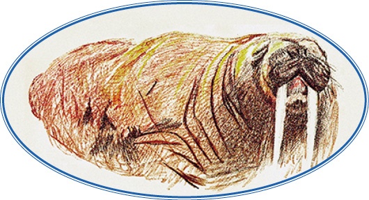 Иллюстрация к книге — «Фрам» в Полярном море [i_021.jpg]