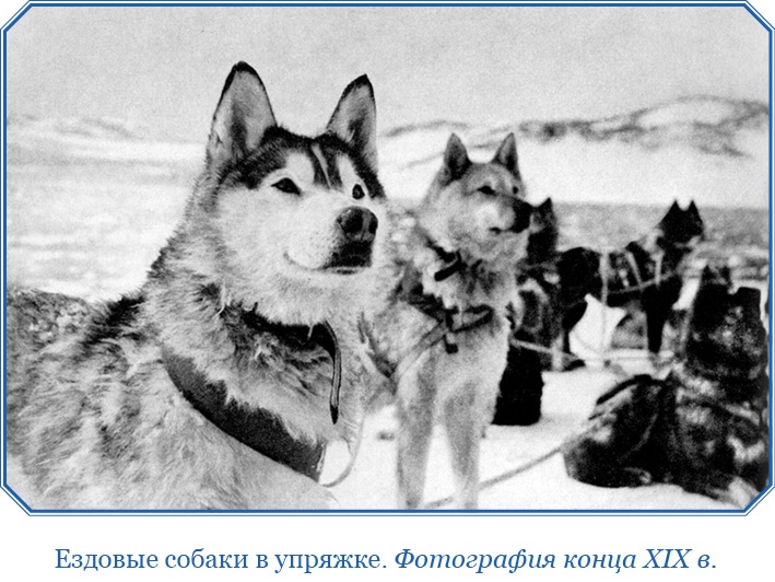 Иллюстрация к книге — «Фрам» в Полярном море [i_032.jpg]