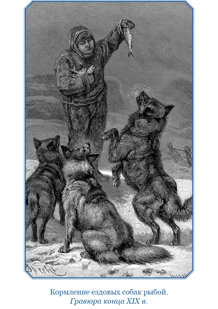 Иллюстрация к книге — «Фрам» в Полярном море [i_034.jpg]