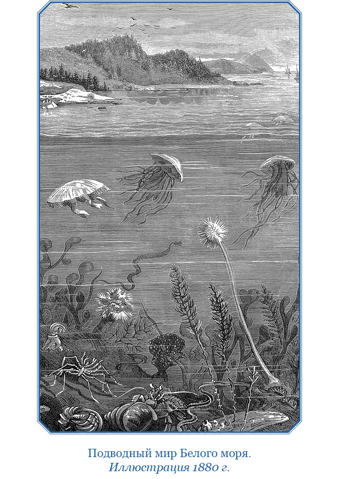 Иллюстрация к книге — «Фрам» в Полярном море [i_092.jpg]