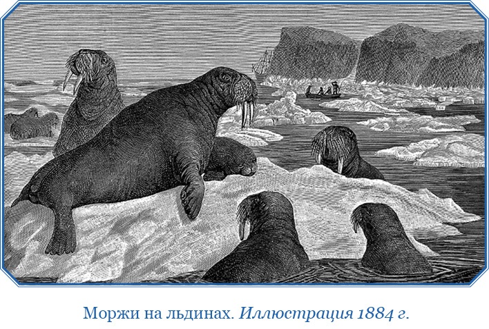 Иллюстрация к книге — «Фрам» в Полярном море [i_105.jpg]