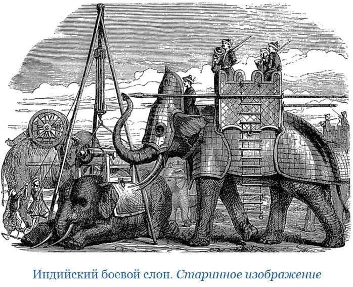 Иллюстрация к книге — Хождение за три моря [i_015.jpg]