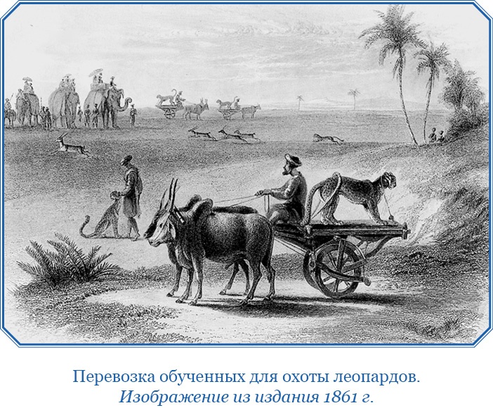 Иллюстрация к книге — Хождение за три моря [i_103.jpg]