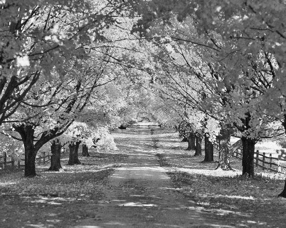 Иллюстрация к книге — Вокруг Парижа с Борисом Носиком. Том 1 [i_026.jpg]