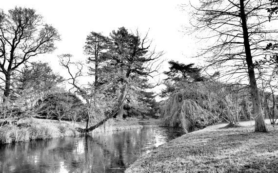 Иллюстрация к книге — Вокруг Парижа с Борисом Носиком. Том 2 [i_010.jpg]