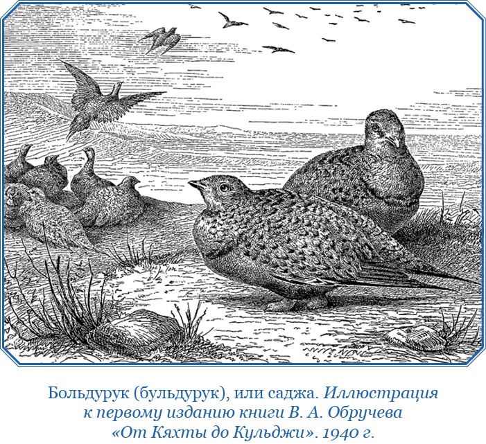 Иллюстрация к книге — От Кяхты до Кульджи: путешествие в Центральную Азию и китай. Мои путешествия по Сибири [i_045.jpg]