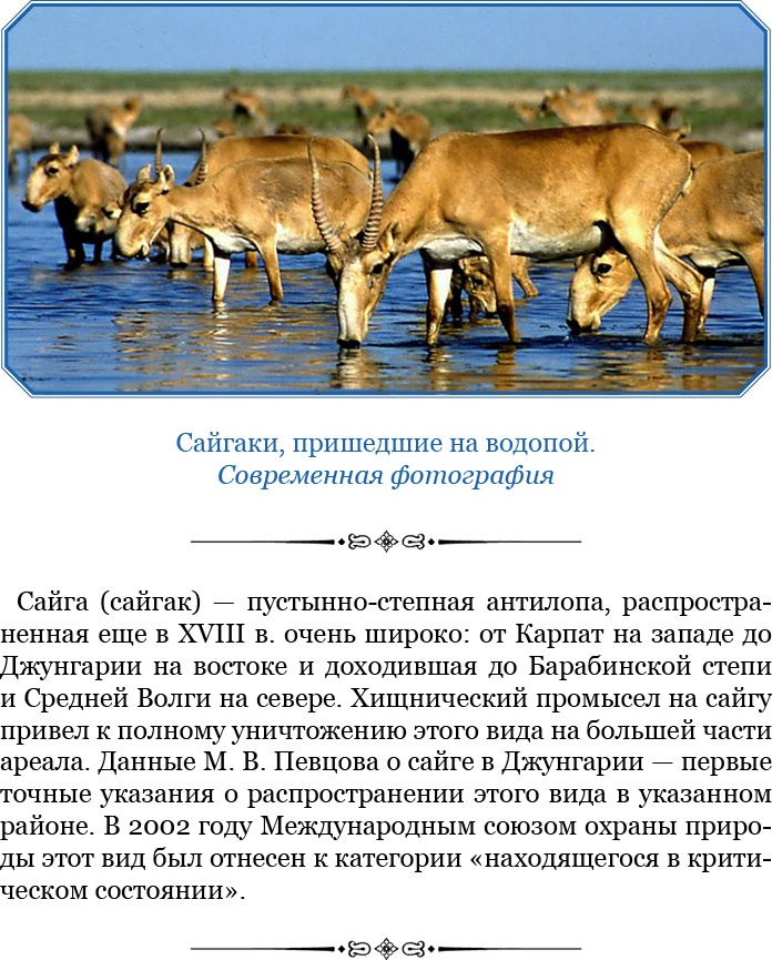 Иллюстрация к книге — Алтай. Монголия. Китай. Тибет. Путешествия в Центральной Азии [i_026.jpg]