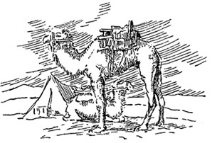 Иллюстрация к книге — Алтай. Монголия. Китай. Тибет. Путешествия в Центральной Азии [i_049.jpg]