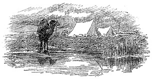 Иллюстрация к книге — Алтай. Монголия. Китай. Тибет. Путешествия в Центральной Азии [i_053.jpg]