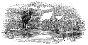 Иллюстрация к книге — Алтай. Монголия. Китай. Тибет. Путешествия в Центральной Азии [i_101.jpg]