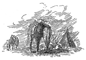 Иллюстрация к книге — Алтай. Монголия. Китай. Тибет. Путешествия в Центральной Азии [i_136.jpg]