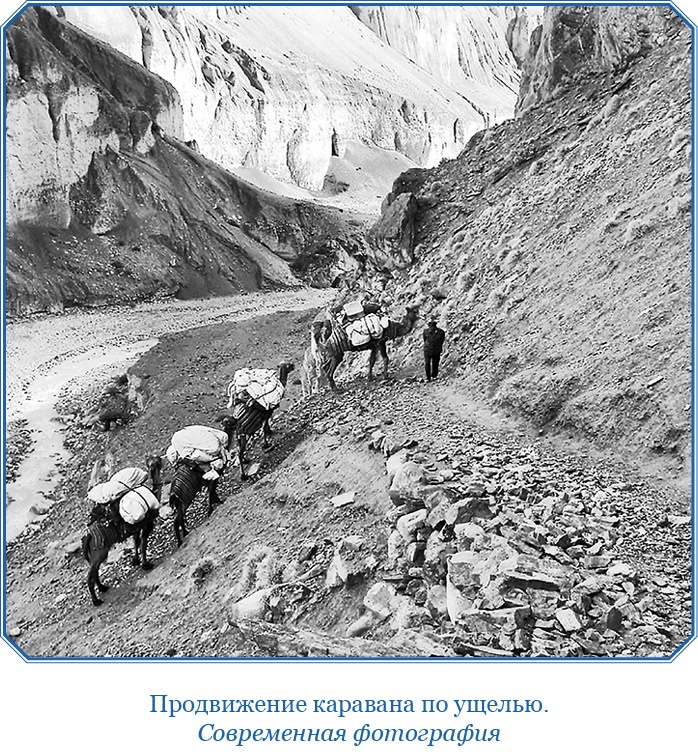 Иллюстрация к книге — Алтай. Монголия. Китай. Тибет. Путешествия в Центральной Азии [i_156.jpg]
