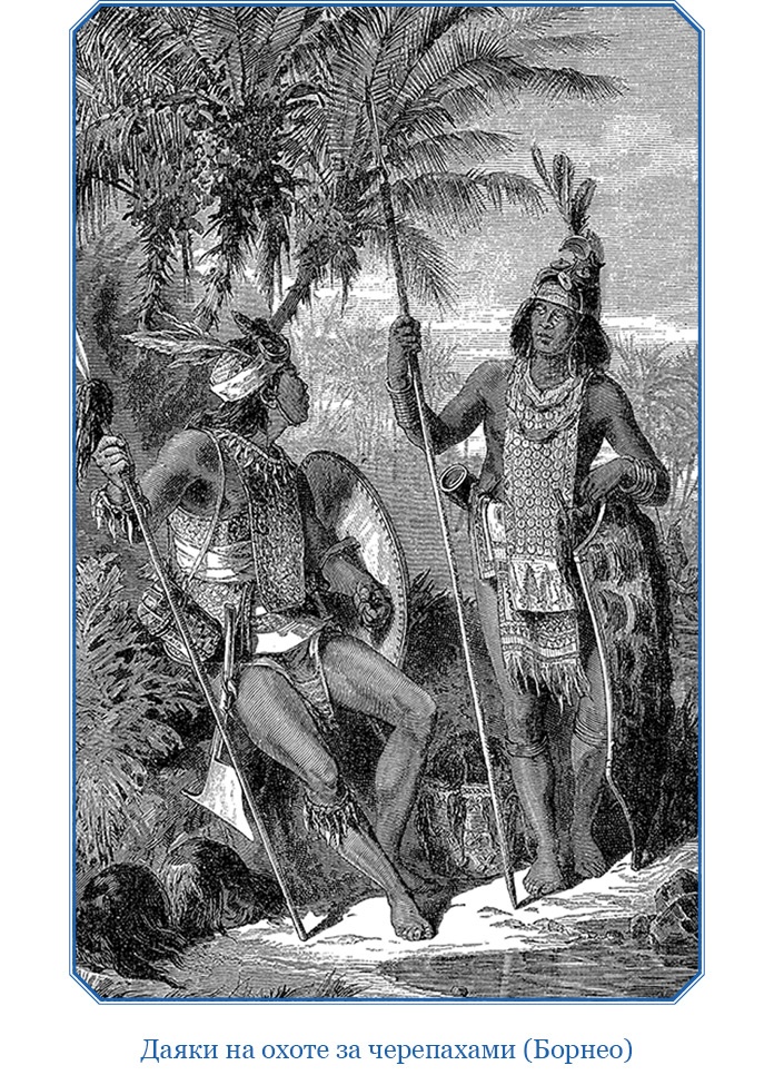 Иллюстрация к книге — Путешествие Магеллана [i_045.jpg]