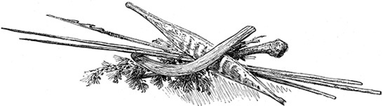 Иллюстрация к книге — Путешествие Магеллана [i_103.jpg]